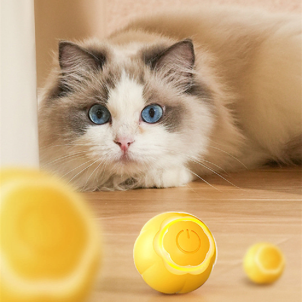 Smart Rolling Ball Katzenspielzeug