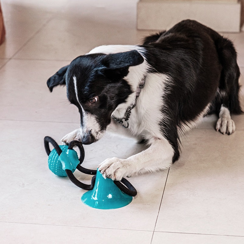 Kauresistenter Hundespielball – Bild 2 | LuxeStyle