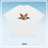 Farbe: Weiss, Corgi