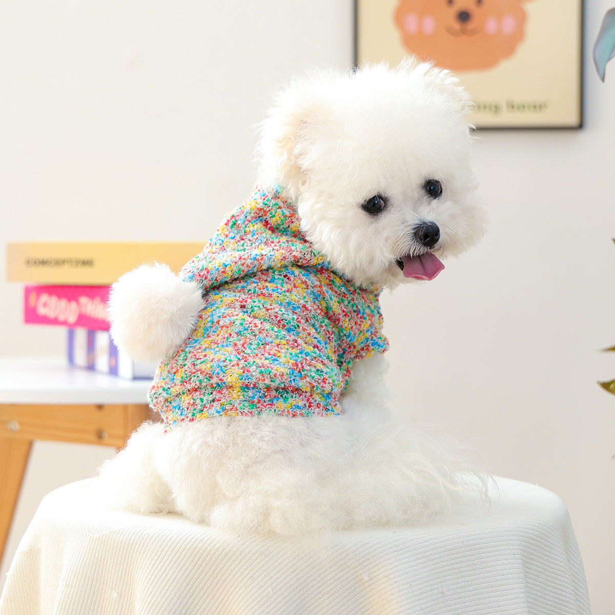 Hunde- und Katzencandy-Hoodie – Bild 3 | LuxeStyle