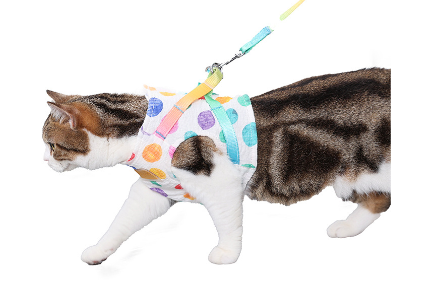 Brustgeschirr für kleine bis mittelgrosse Hunde – Bild 5 | LuxeStyle