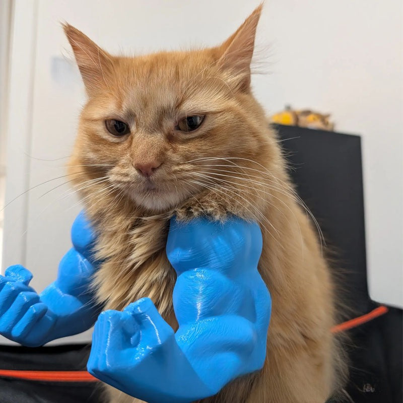 Lustige Katzen-Muskelhand zum Aufhängen – Bild 7 | LuxeStyle