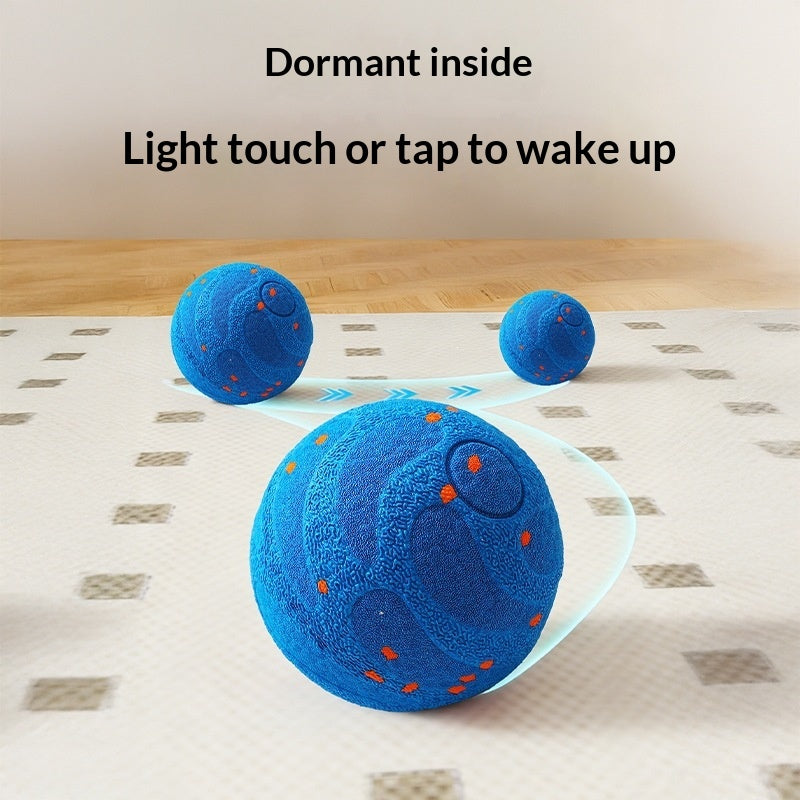 Automatischer Teaser-Ball für Hunde