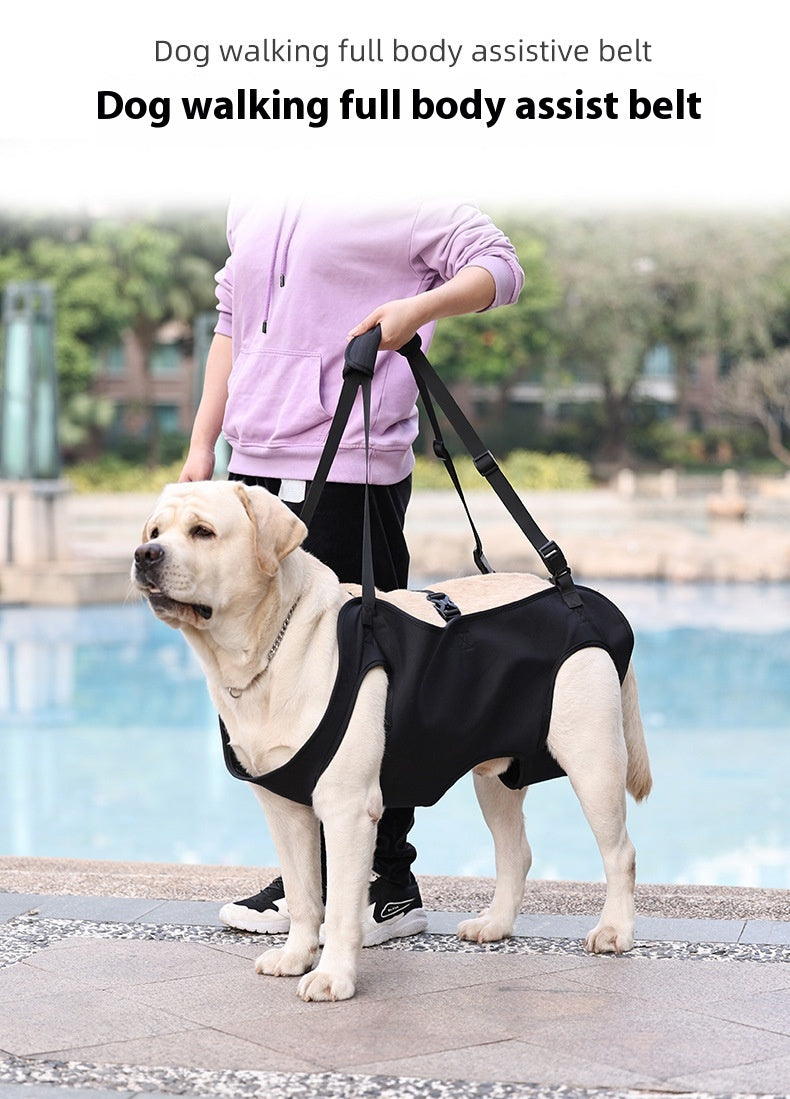 Hundetragetuch