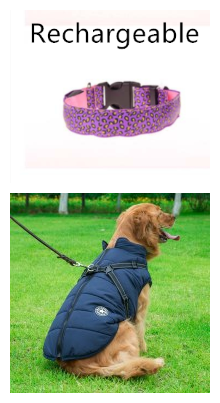 LED-Halsband für Hunde – Leopard-Muster