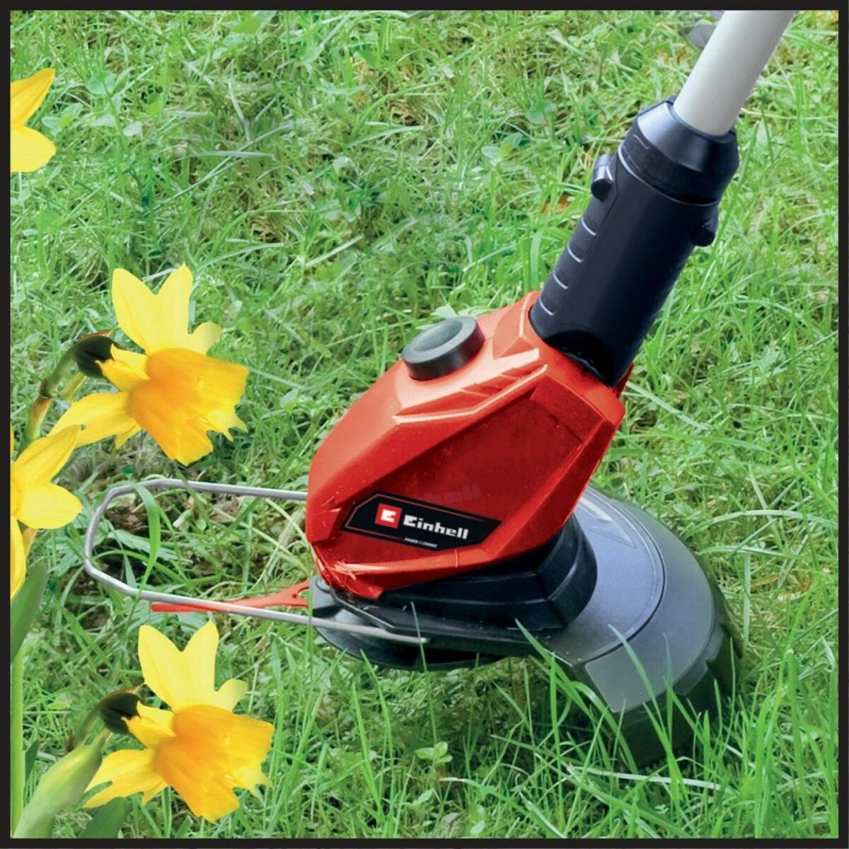 Multifunktions-Bürstenschneider Einhell 3411219