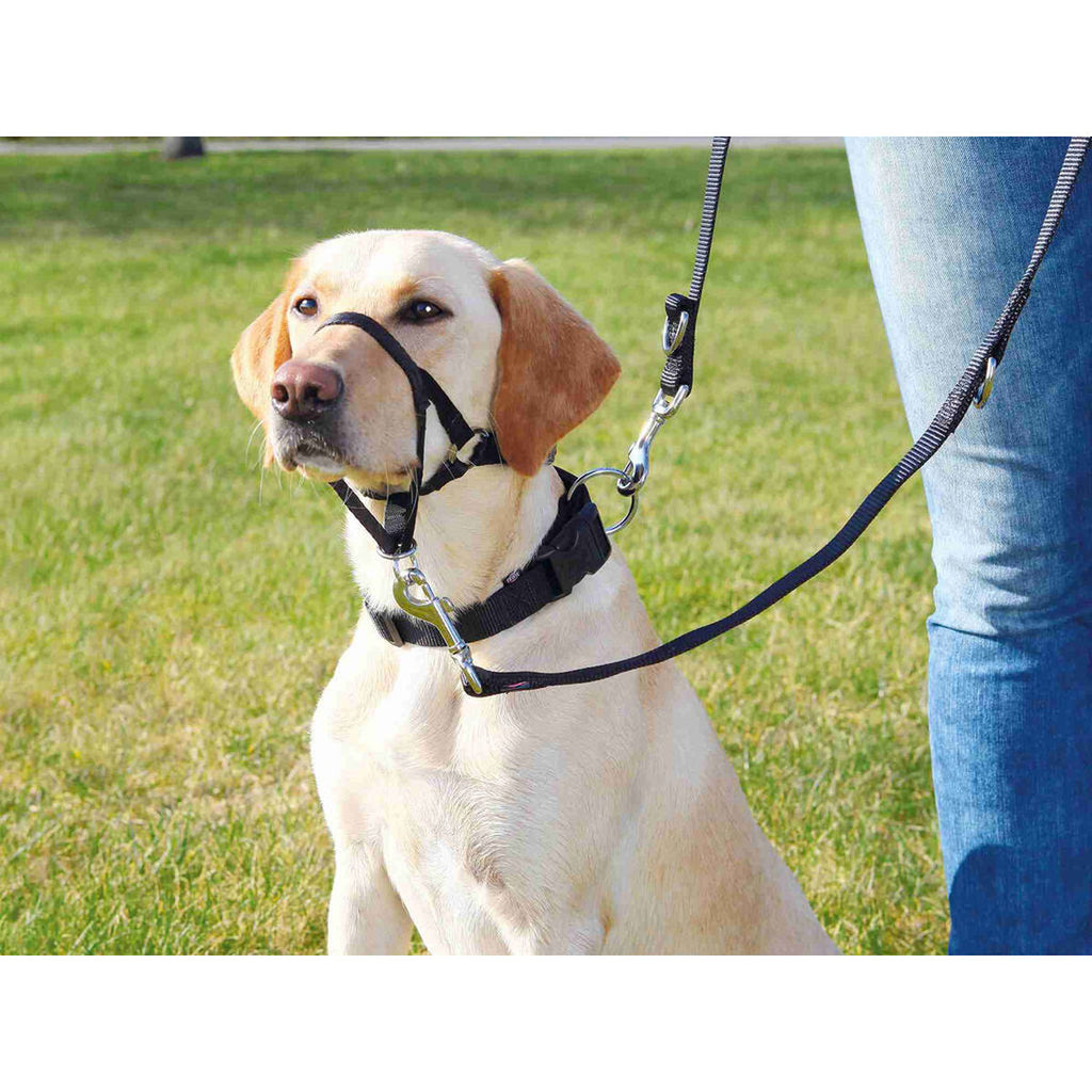 Führgeschirr für Hund Trixie Top Trainer Schwarz M