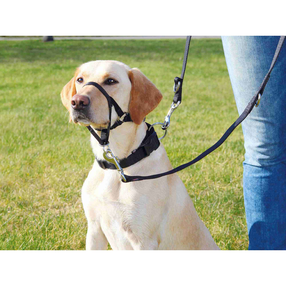 Führgeschirr für Hund Trixie Top Trainer Schwarz M