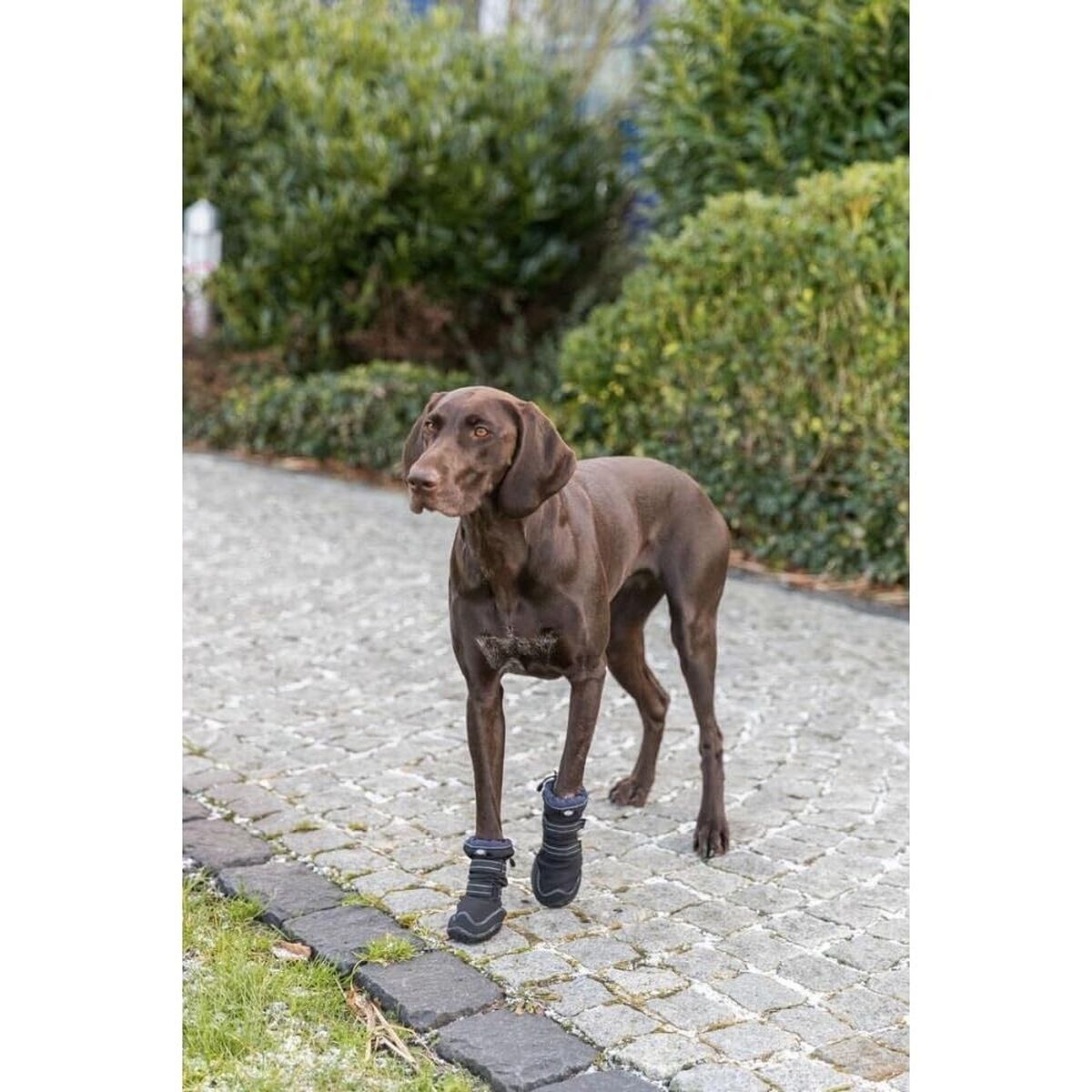Schuhe für Hunde Trixie 19410 Schwarz