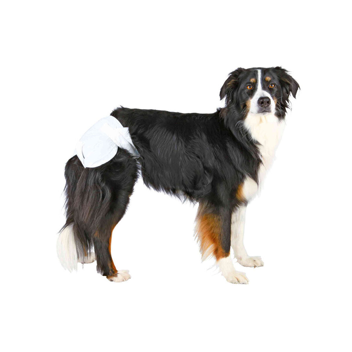 Windeln Trixie Hund XS/S