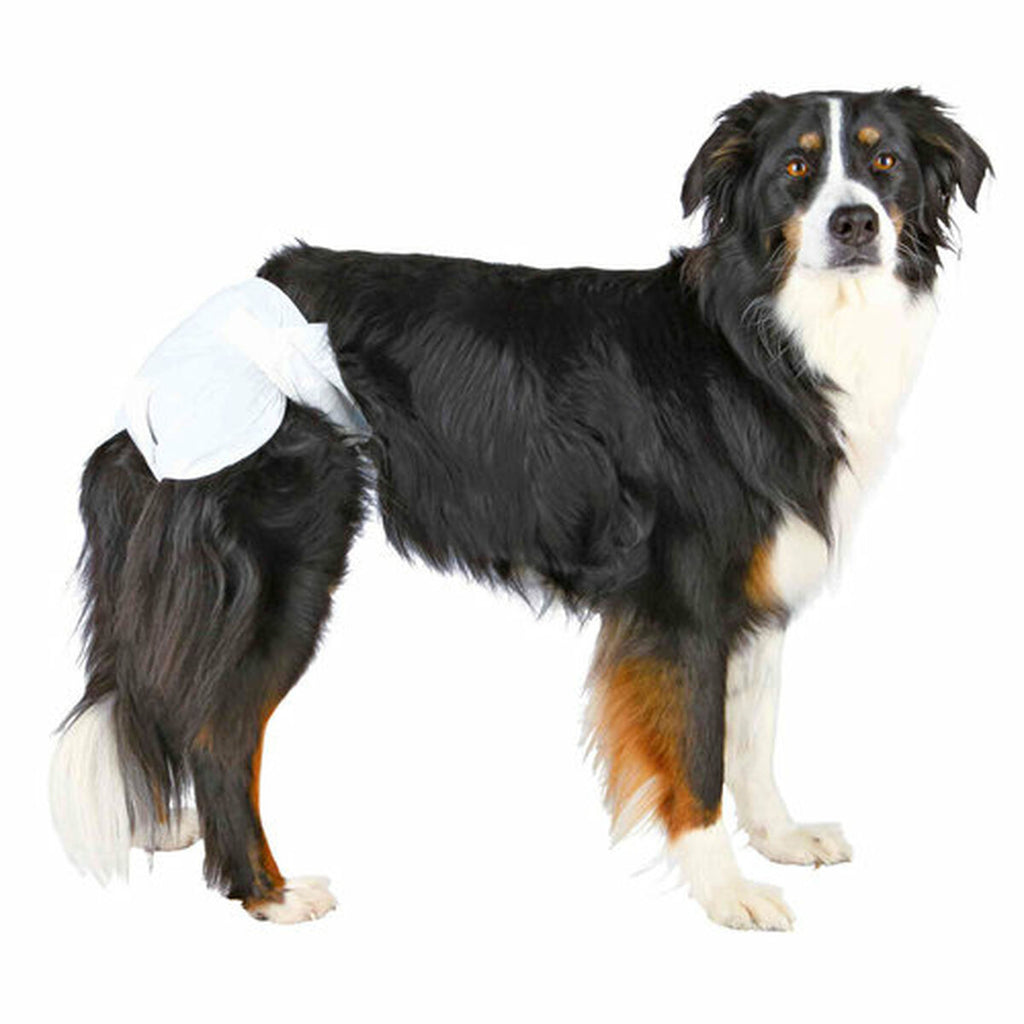 Windeln Trixie Hund XS/S