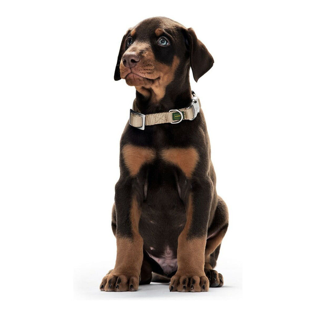 Rotes Halsband L – Robust & sicher für grosse Hunde