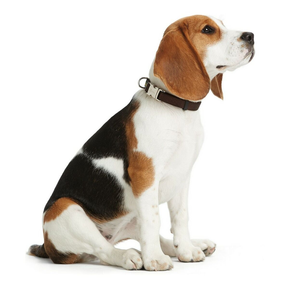 Rotes Halsband L – Robust & sicher für grosse Hunde