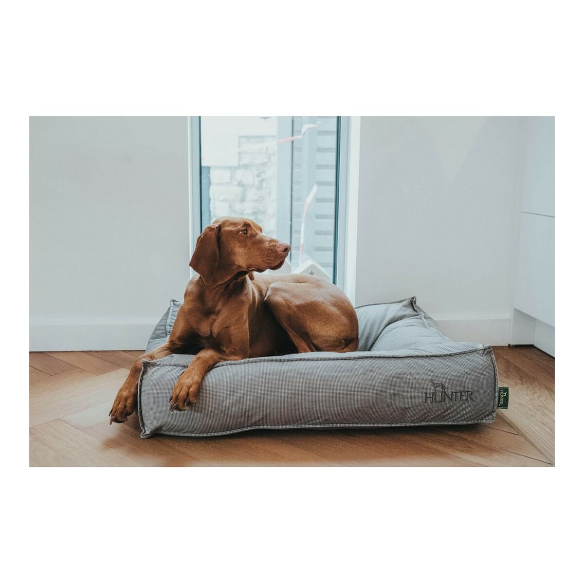 Großes Hundebett Grau 120x90 – Für erholsamen Schlaf – Ansicht 3