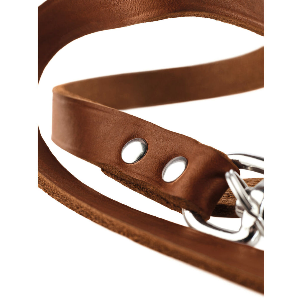 Hundeleine «Hunter» Braun (200 cm)