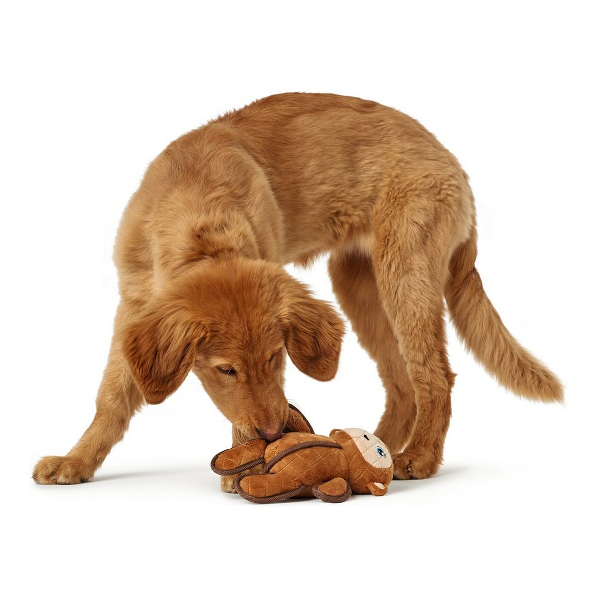 Kuscheltier für Hunde Hunter Togh Toys Braun Polyester Affe 25 cm