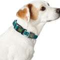 Hundehalsband «Hunter» Basic Limette (M)