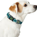 Hundehalsband Hunter Basic Braun M 33-50 cm Thema