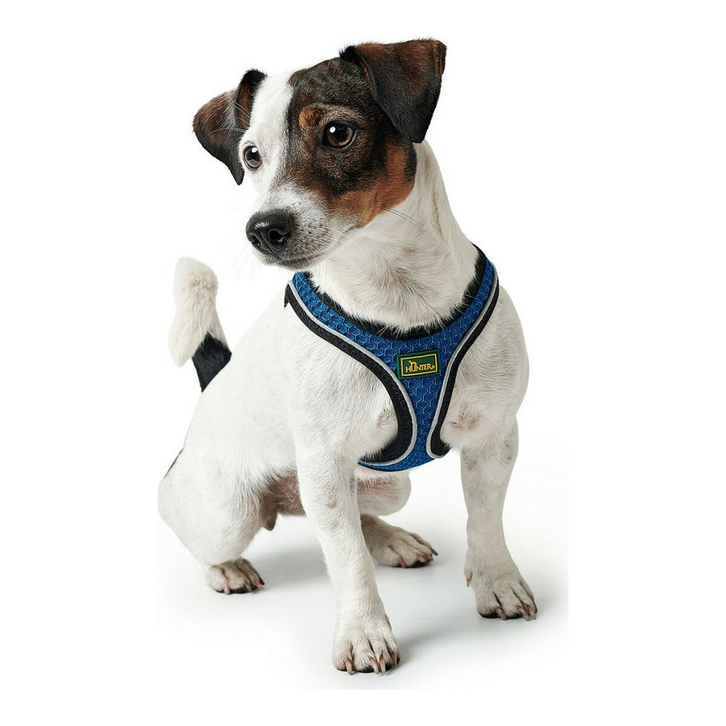 Hundegeschirr «Hunter» Hilo-Comfort Blau (S)