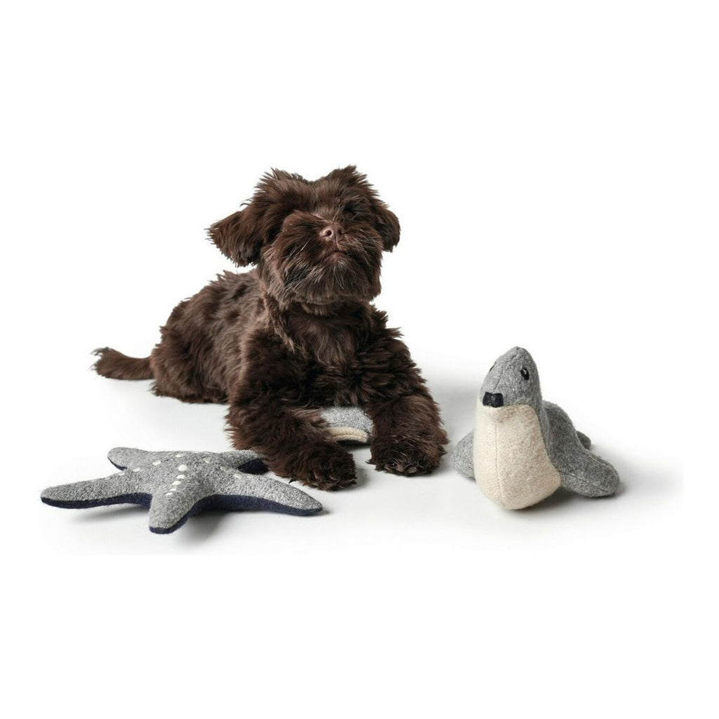 Kuscheltier für Hunde Hunter Skagen Grau Dunkelblau Polyester Stern
