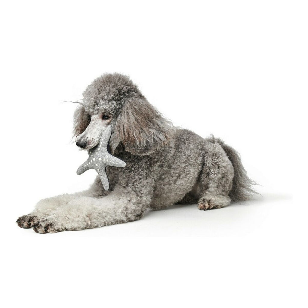 Kuscheltier für Hunde Hunter Skagen Grau Dunkelblau Polyester Stern