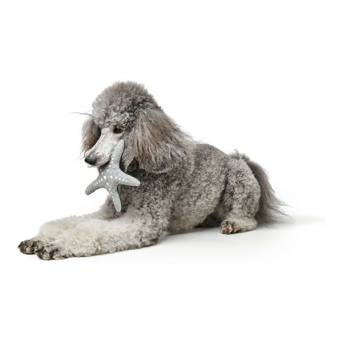 Kuscheltier für Hunde Hunter Skagen Grau Dunkelblau Polyester Stern