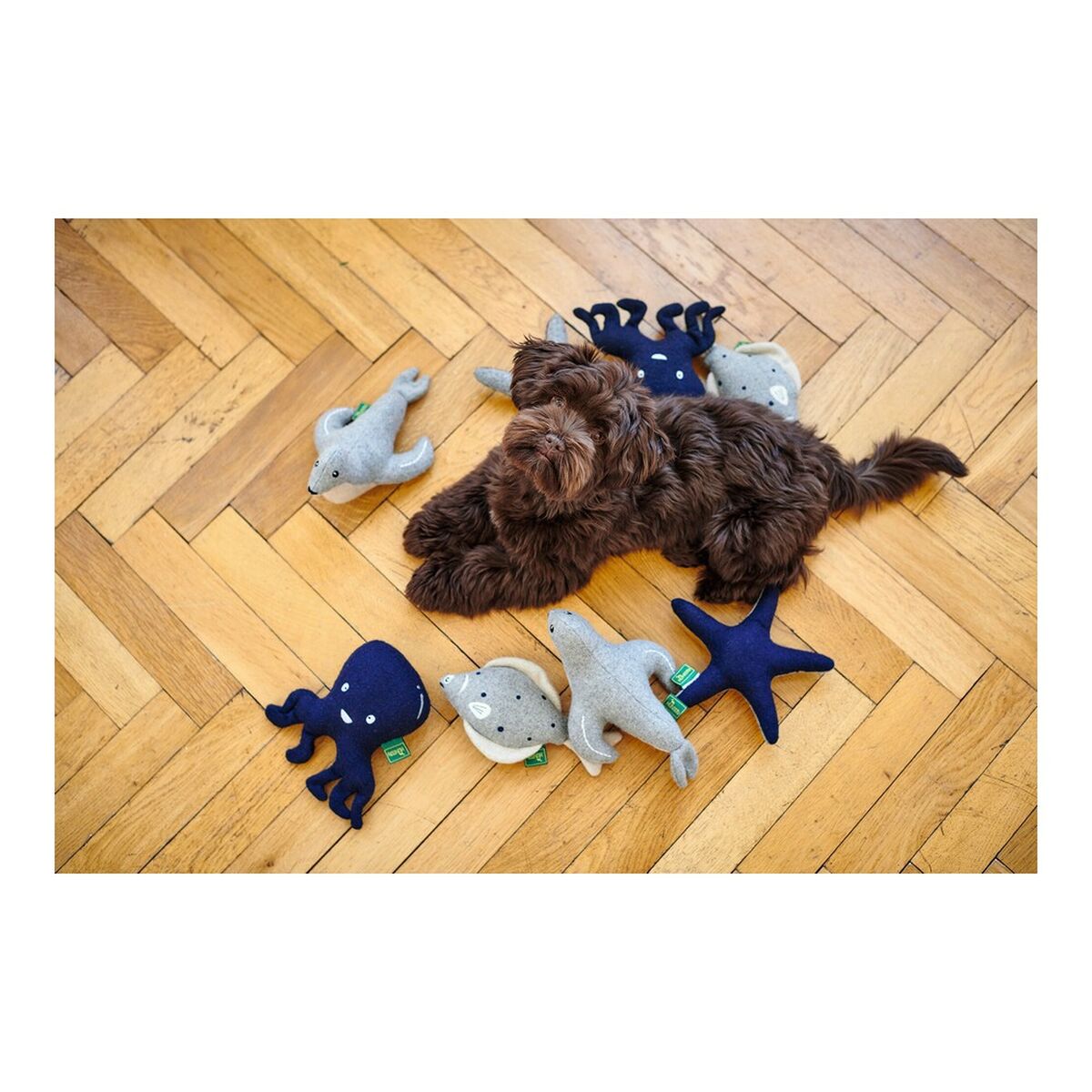 Kuscheltier für Hunde Hunter Skagen Grau Dunkelblau Polyester Stern