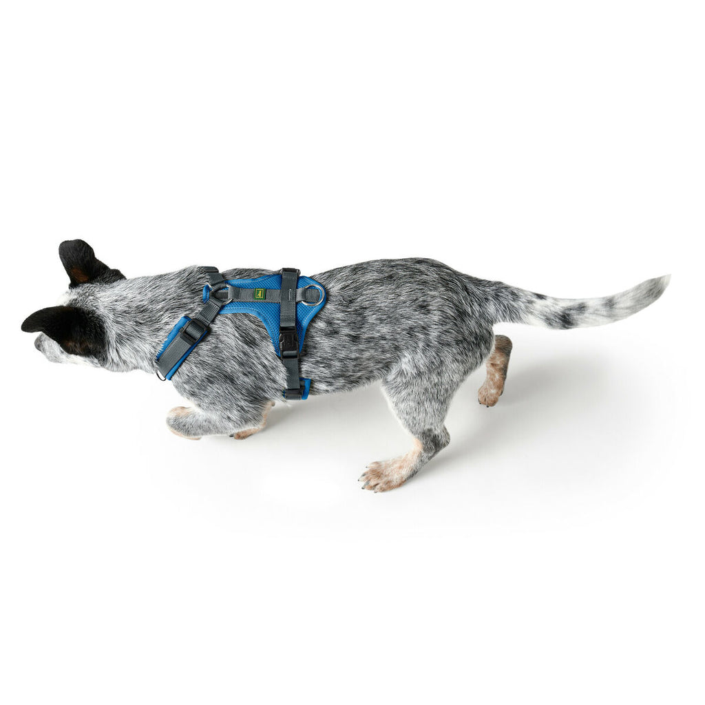 Hundegeschirr Hunter Maldon Up Blau 46-82 cm S/M