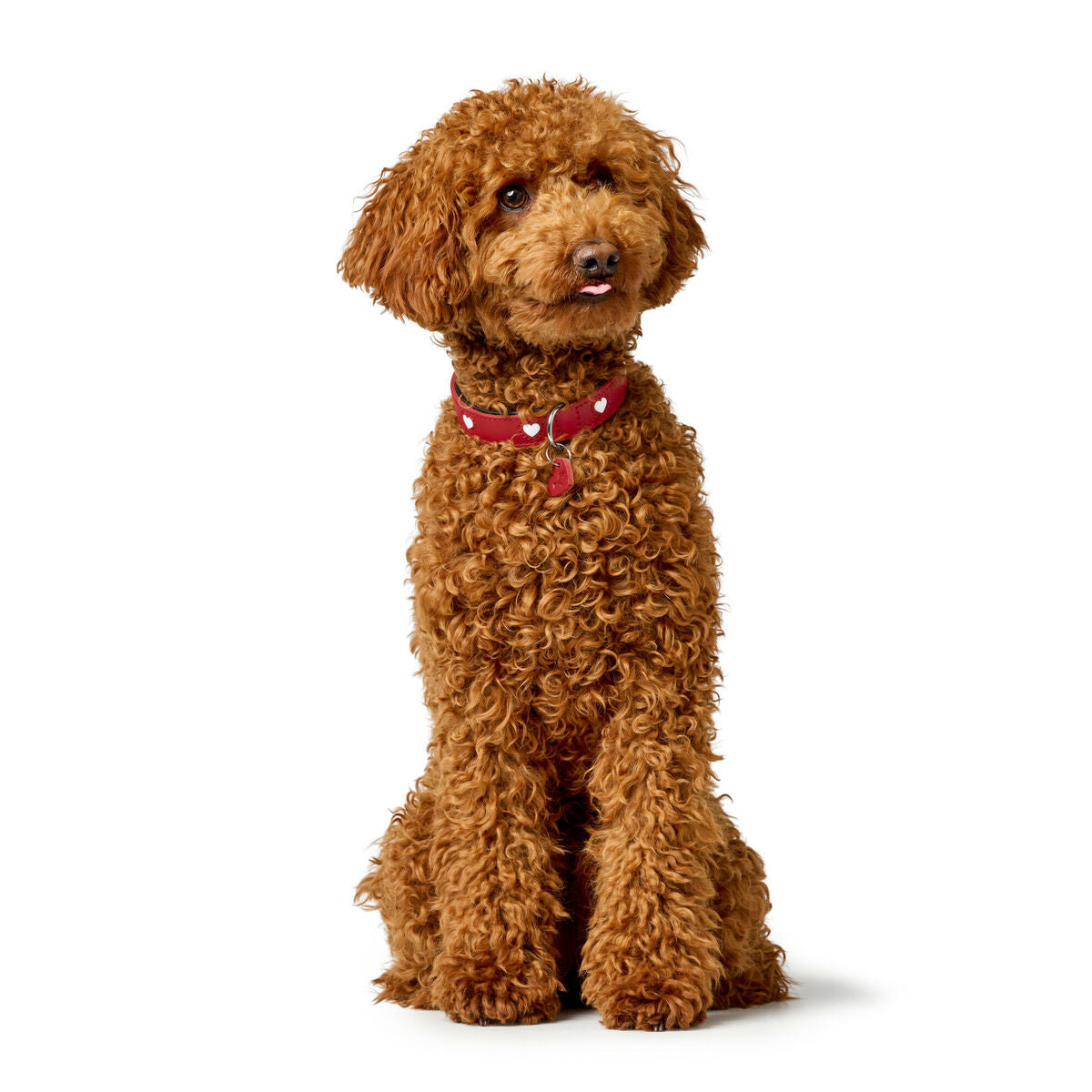Hundehalsband Hunter Love Rot XS 24-28 cm