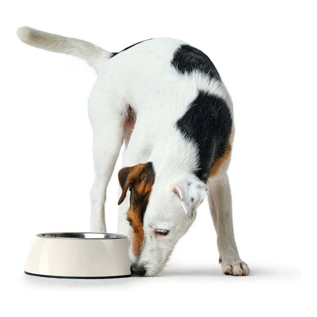Futternapf für Hunde Hunter Melamine Edelstahl Weiß 350 ml (18,5 x 18,