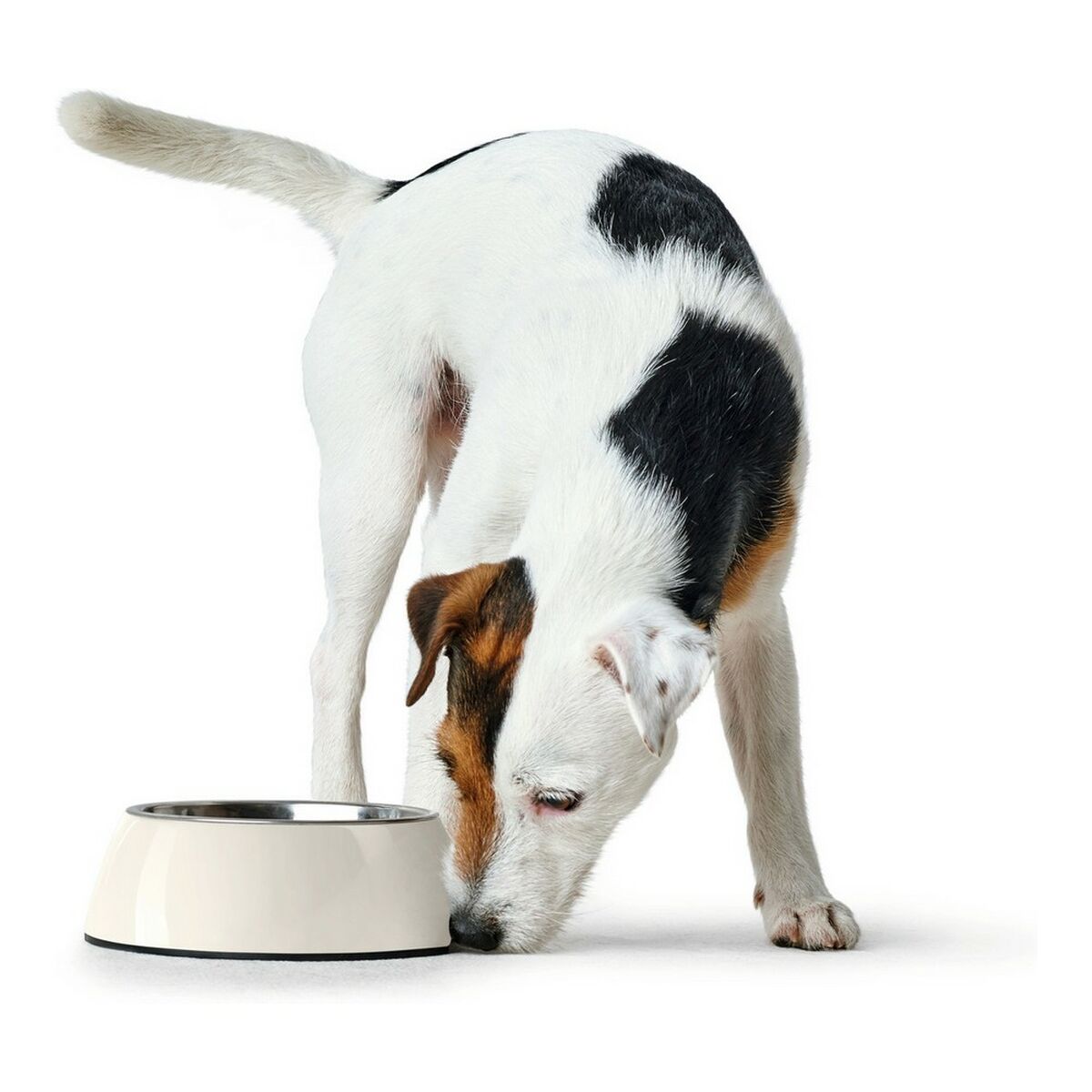 Futternapf für Hunde Hunter Melamine Edelstahl Weiß 350 ml (18,5 x 18,