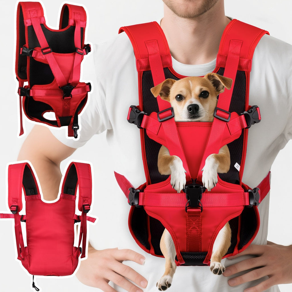 Hunde-Rucksack für kleine Vierbeiner