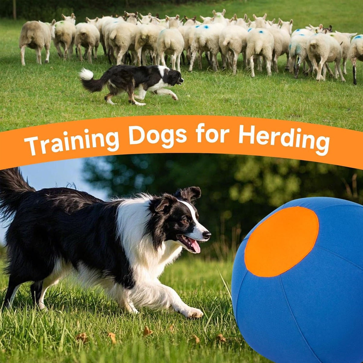 Aufblasbarer Wurfball für Hunde und Katzen