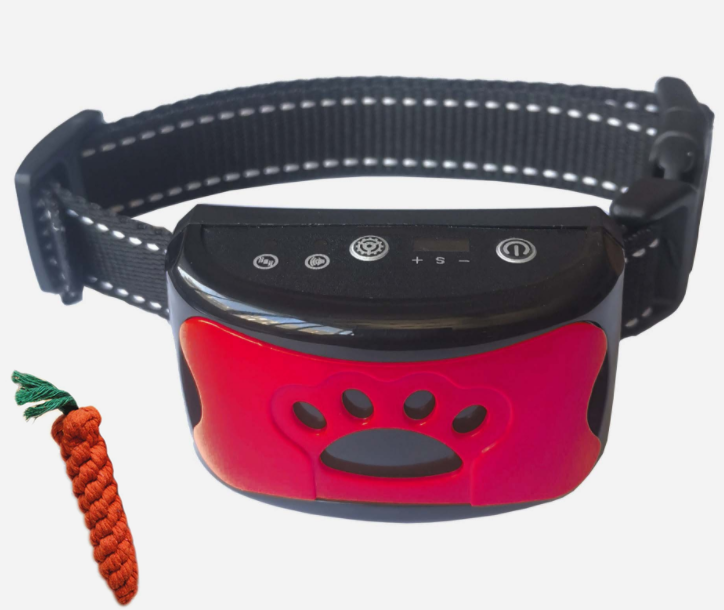 Hundestraining-Kollektiv – Bild 4 | LuxeStyle