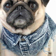 Hundeweste in Jeansoptik