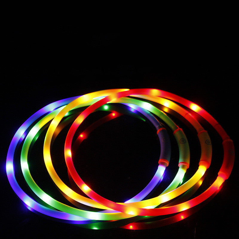 Wasserdichtes LED-Hundehalsband, rund – Bild 9 | LuxeStyle