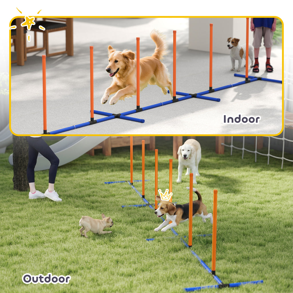 Agility-Trainingsset für Hunde, verstellbar