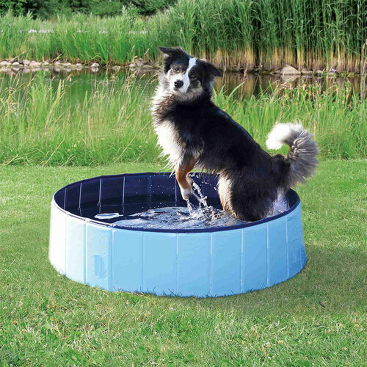 Hundepool Trixie Blau Hellblau