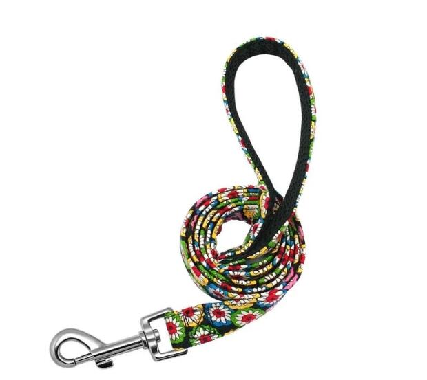 Nylon-Hundeleine für personalisiertes Halsband | LuxeStyle