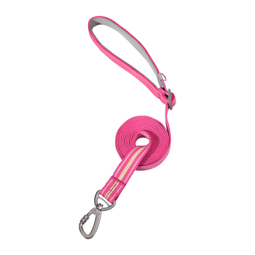 Reflektierendes Hundehalsband