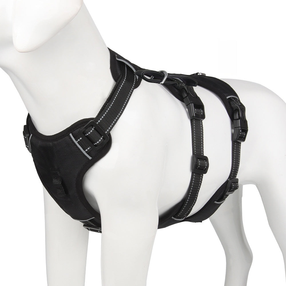 Hundehalsband für grosse Hunde