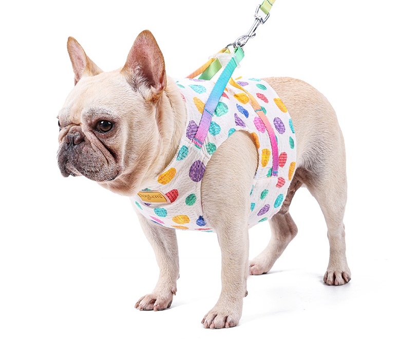 Brustgeschirr für kleine bis mittelgrosse Hunde – Bild 8 | LuxeStyle