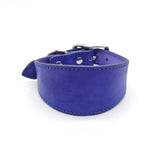 Farbe: Violett