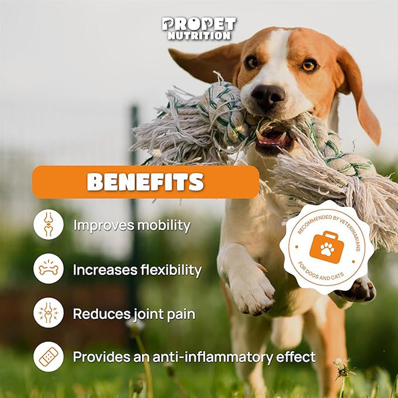Gelenk-Supplement für Hunde & Katzen