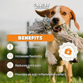 Gelenk-Supplement für Hunde & Katzen