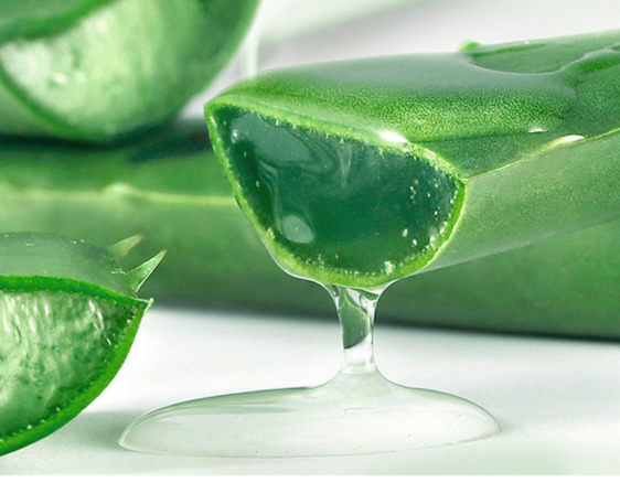 Aloe Vera Feuchtigkeitscreme 260g