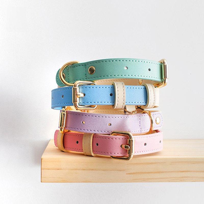 Lederhalsband für kleine bis mittelgrosse Hunde