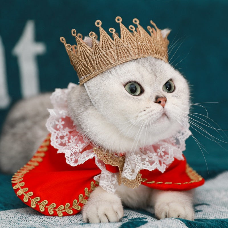 Katzen-Königsumhang mit Spitzenkragen – Bild 7 | LuxeStyle