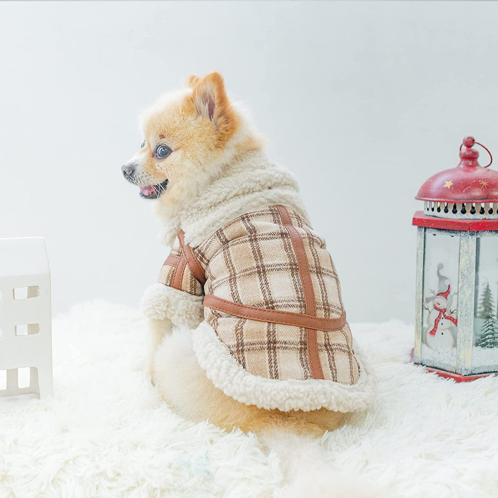 Karierte Hundekleidung