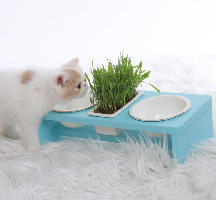 Futterstation für Katzen